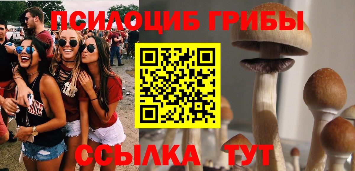 Галлюциногенные грибы прущие грибы Киров