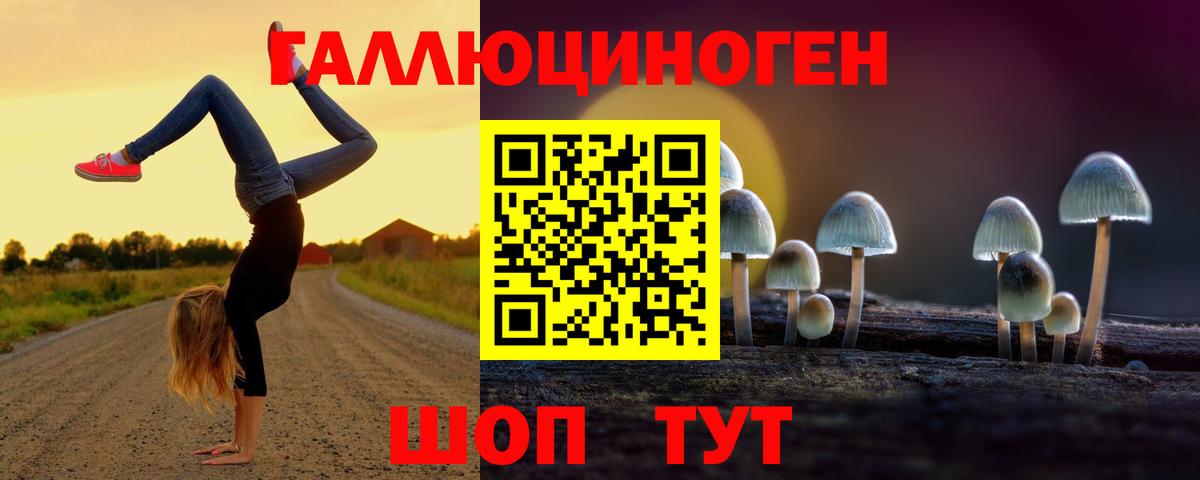 Киров  Галлюциногенные грибы прущие грибы  Вход с VPN 